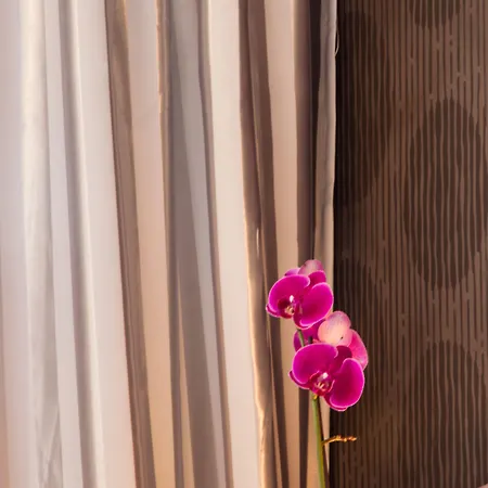 Szálloda Triada Szófia